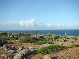 2007 10-Aruba Desert Beach